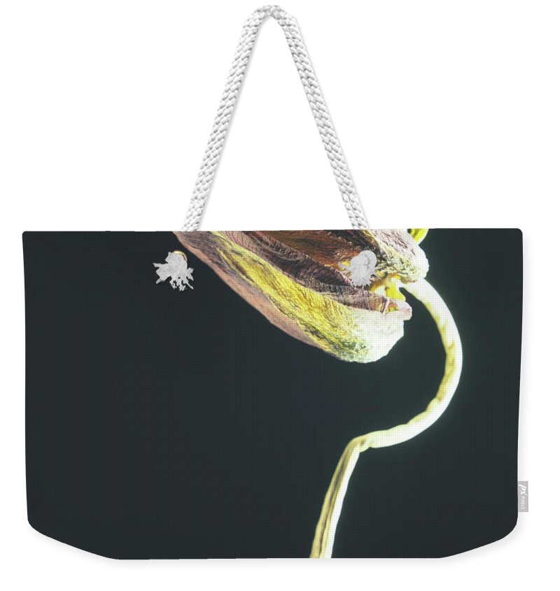 Tulip Weekender Tote Bag featuring the photograph Tulip V by Andreas Berheide