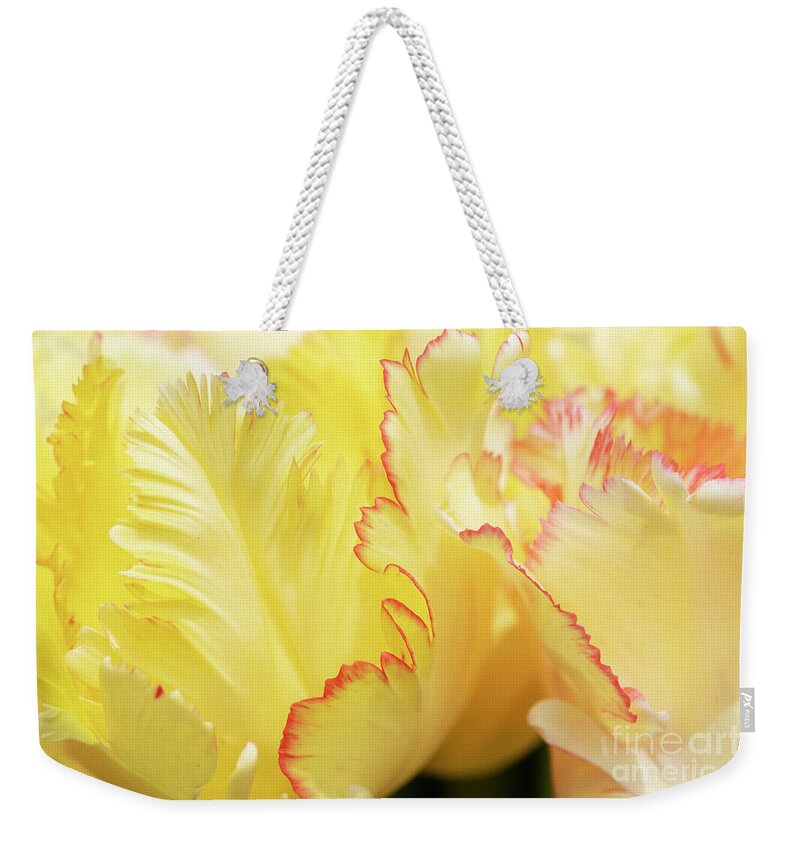 Tulip Weekender Tote Bag featuring the photograph Tulipa Caribbean Parrot Petals Abstract by Tim Gainey