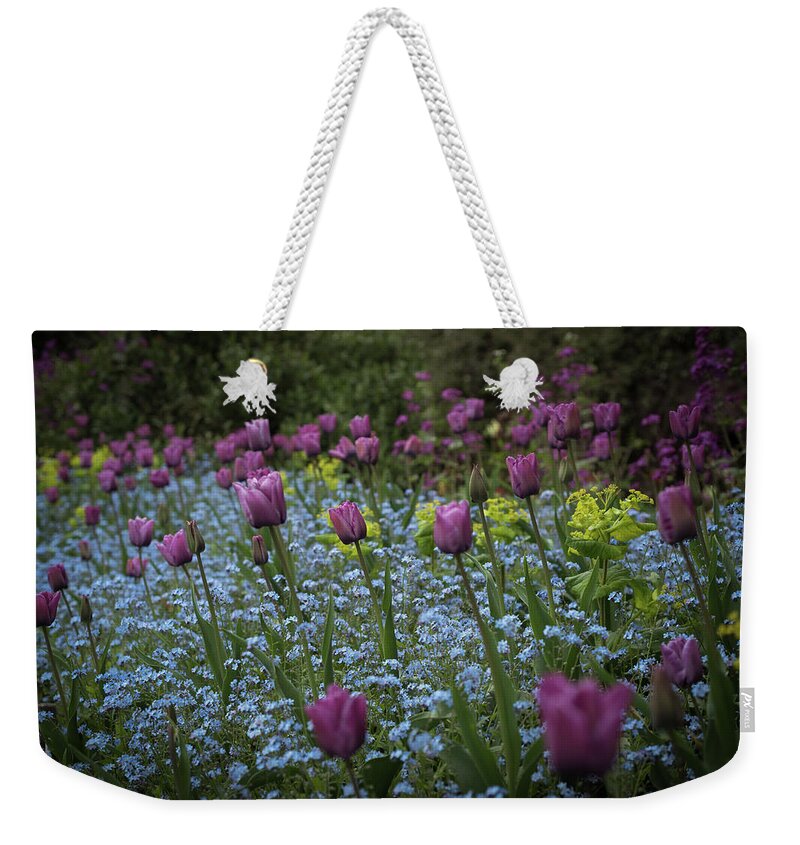 Tulips Weekender Tote Bag featuring the photograph Tulips at Great Dixter Gardens by Perry Rodriguez