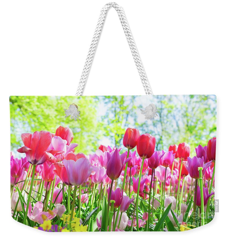 Tulips Weekender Tote Bag featuring the photograph Tulips Pink Growth by Anastasy Yarmolovich