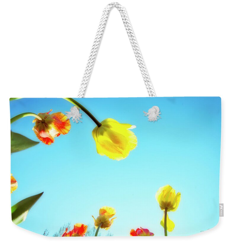 Evie Weekender Tote Bag featuring the photograph Tulips Holland Michigan 17 by Evie Carrier