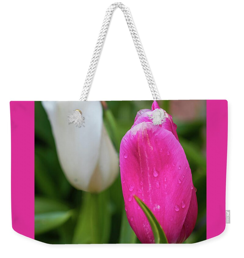Spring Weekender Tote Bag featuring the photograph Tulips soaking in the rain by Jack Clutter