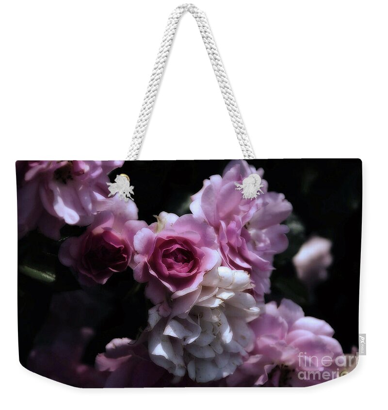 Flowers Weekender Tote Bag featuring the photograph Turn of the Century Roses by Elaine Manley