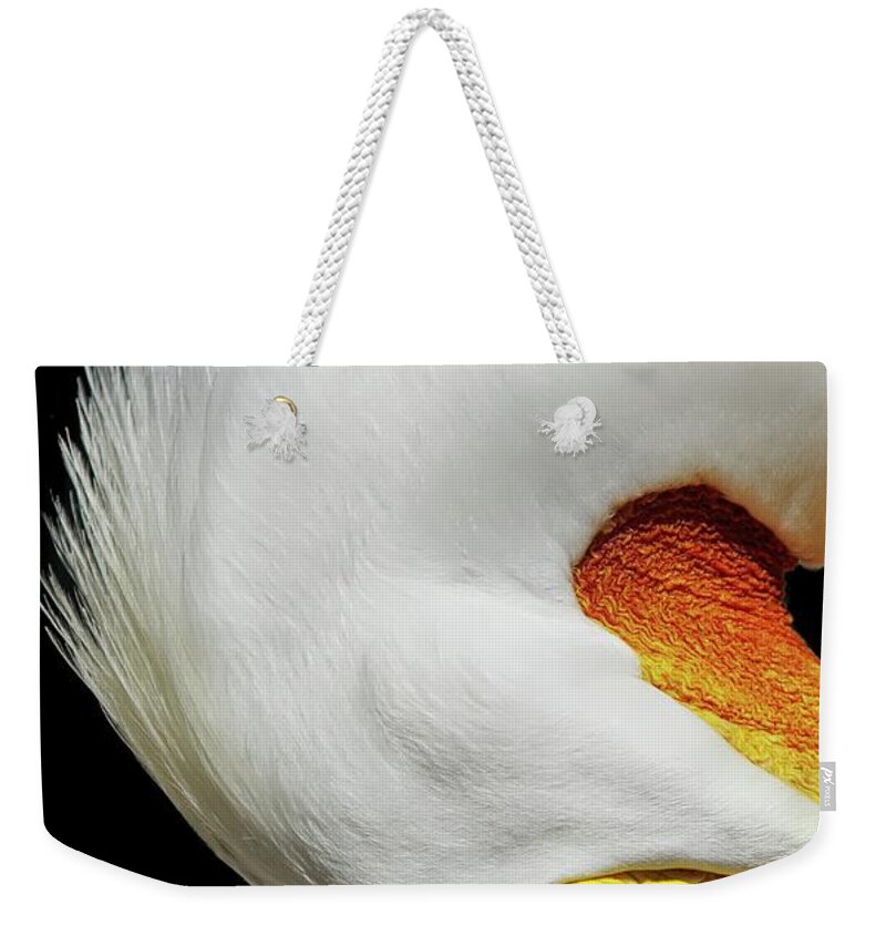 White Pelican Weekender Tote Bag featuring the photograph Turn by Stoney Lawrentz