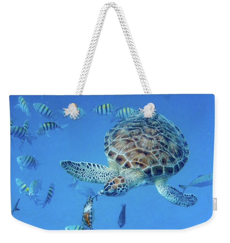 Turtle Weekender Tote Bag featuring the photograph Turning Turtle by Mark Hunter