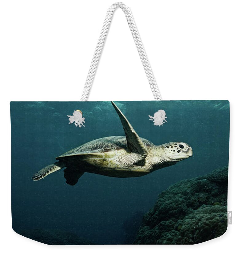 Underwater Weekender Tote Bag featuring the photograph Turtle by Underwater Graphics