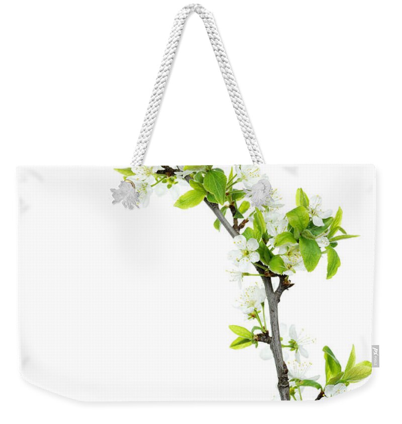 White Background Weekender Tote Bag featuring the photograph Twig Of Cherry Blossoms Isolated On by Antimartina