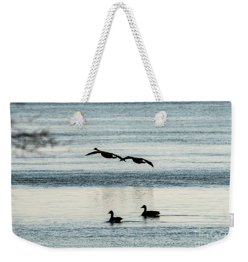 Geese Weekender Tote Bag featuring the photograph Two by Two Geese and Ducks by Sandra J's