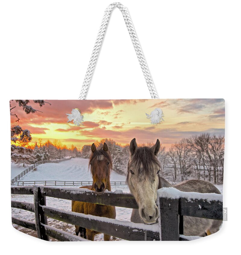 Horse Weekender Tote Bag featuring the photograph Two Horses In Snowy Pasture At Sunrise by William Toti