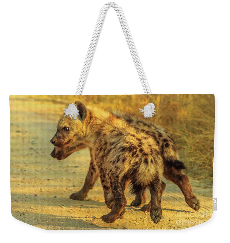 Hyena Weekender Tote Bag featuring the photograph Two Hyena cubs by Benny Marty