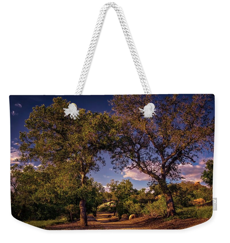 Oak Trees Weekender Tote Bag featuring the photograph Two Old Oak Trees At Sunset by Endre Balogh