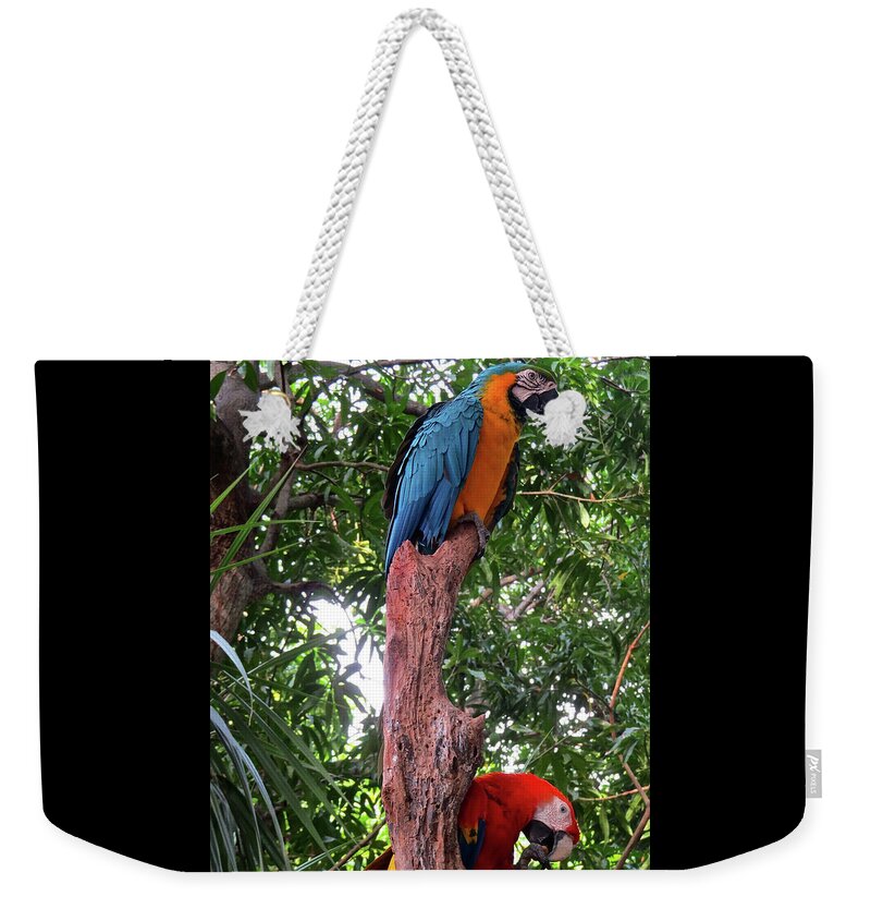 Birds Weekender Tote Bag featuring the photograph Two Parrots by Carol Neal-Chicago