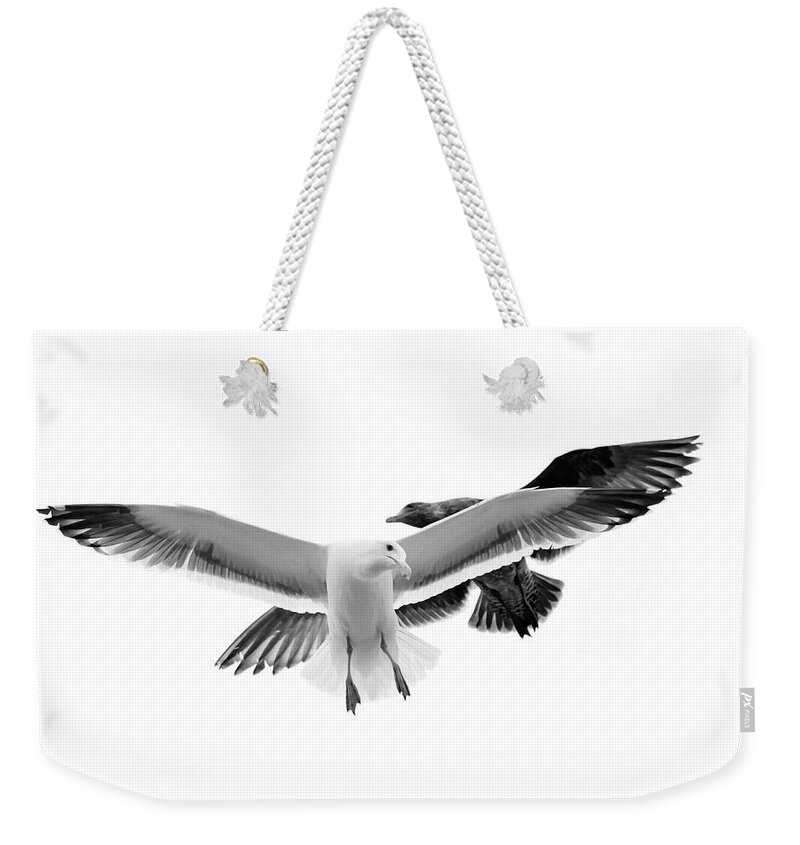 Animal Themes Weekender Tote Bag featuring the photograph Two Seagulls In Flight by Suzanne Dehne