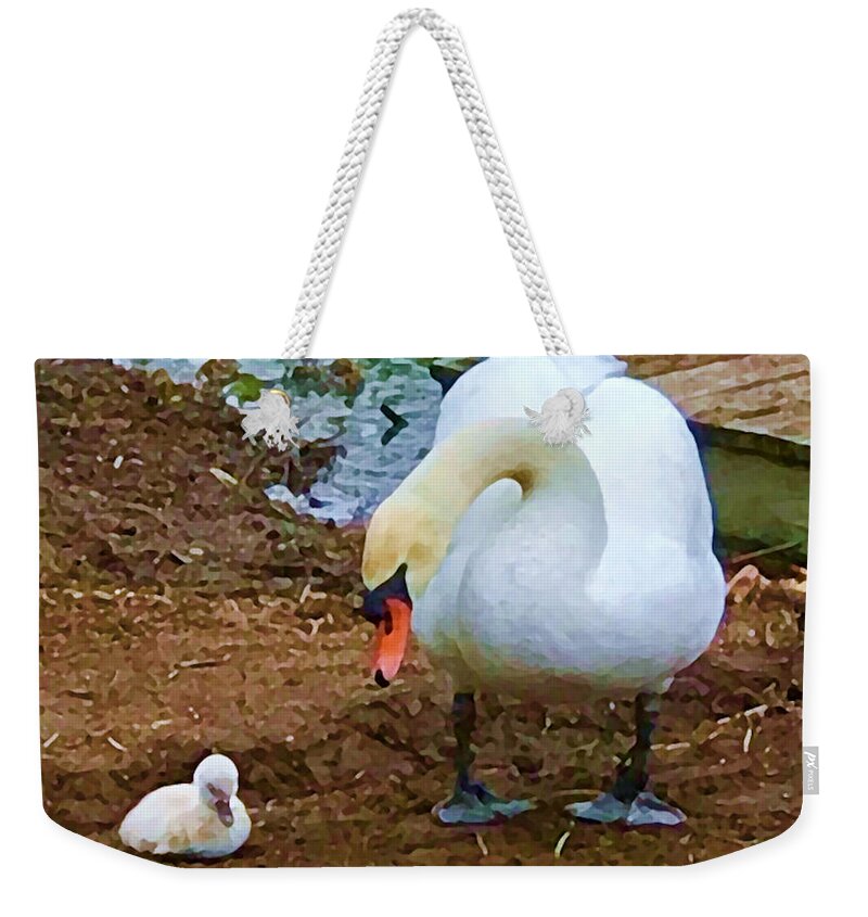 Swan Weekender Tote Bag featuring the photograph Ugly Duckling by Tom Johnson