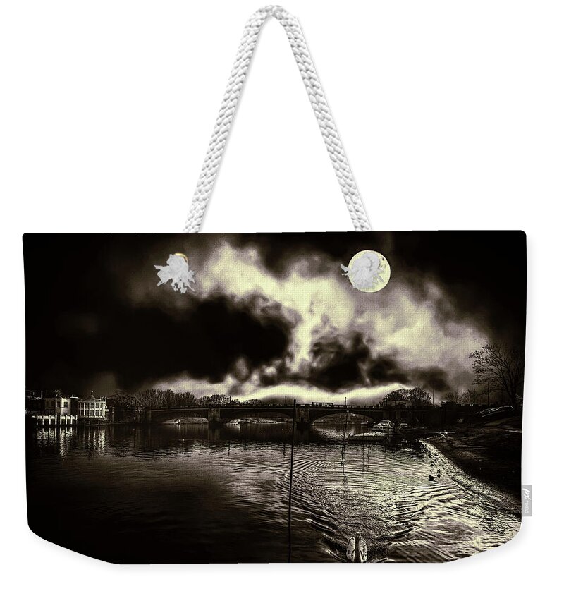 Swan Weekender Tote Bag featuring the photograph Un fantasme sombre by Leigh Kemp