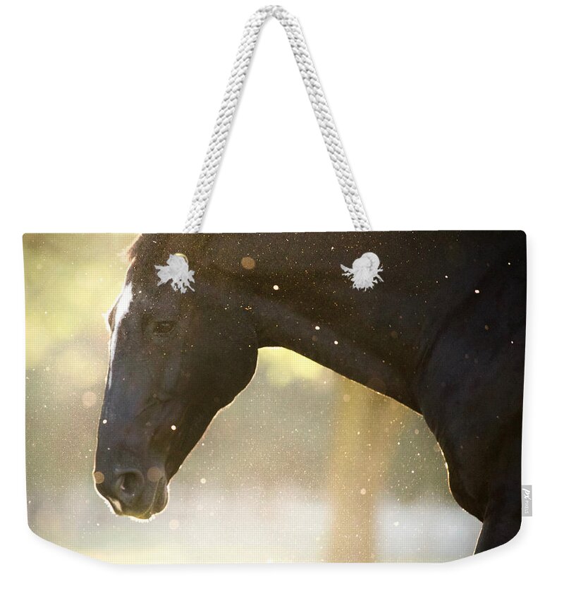 Horse Weekender Tote Bag featuring the photograph Unbridled by Rachel Morrison