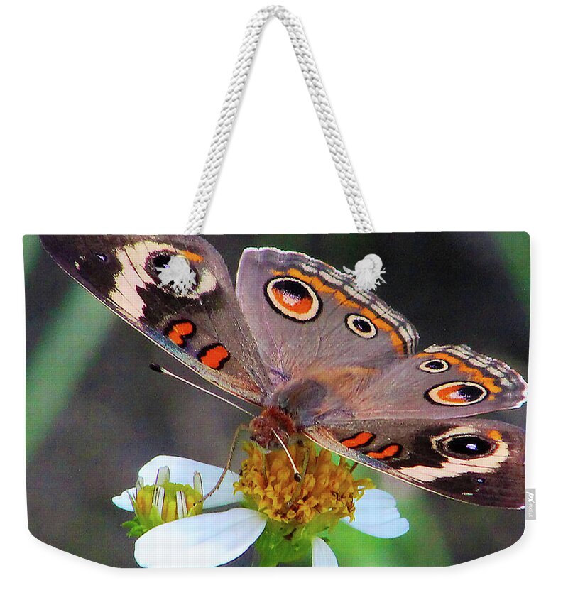 Butterfly Weekender Tote Bag featuring the photograph Uncommon Buckeye by Michael Allard
