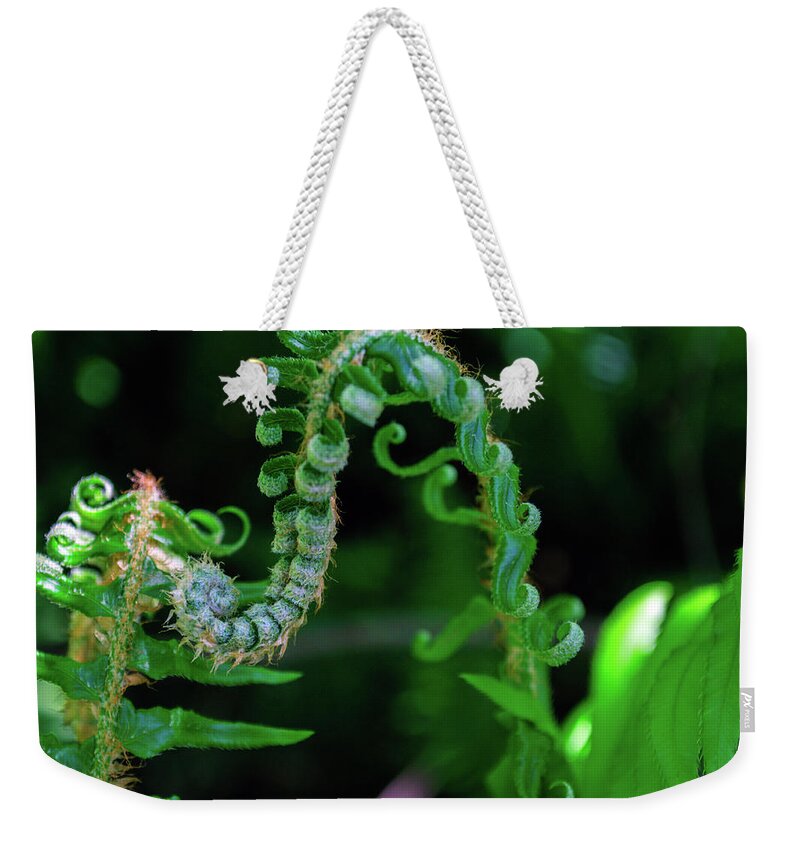 Plant Weekender Tote Bag featuring the photograph Uncurling Frond by Tikvah's Hope