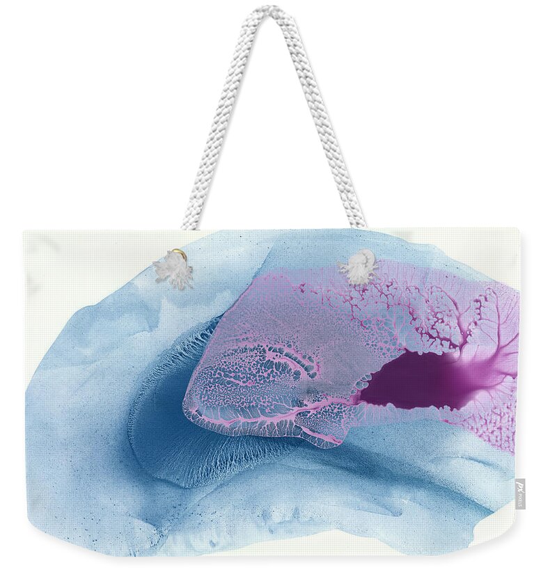 Abstract Weekender Tote Bag featuring the painting Under the Sea by Claire Desjardins
