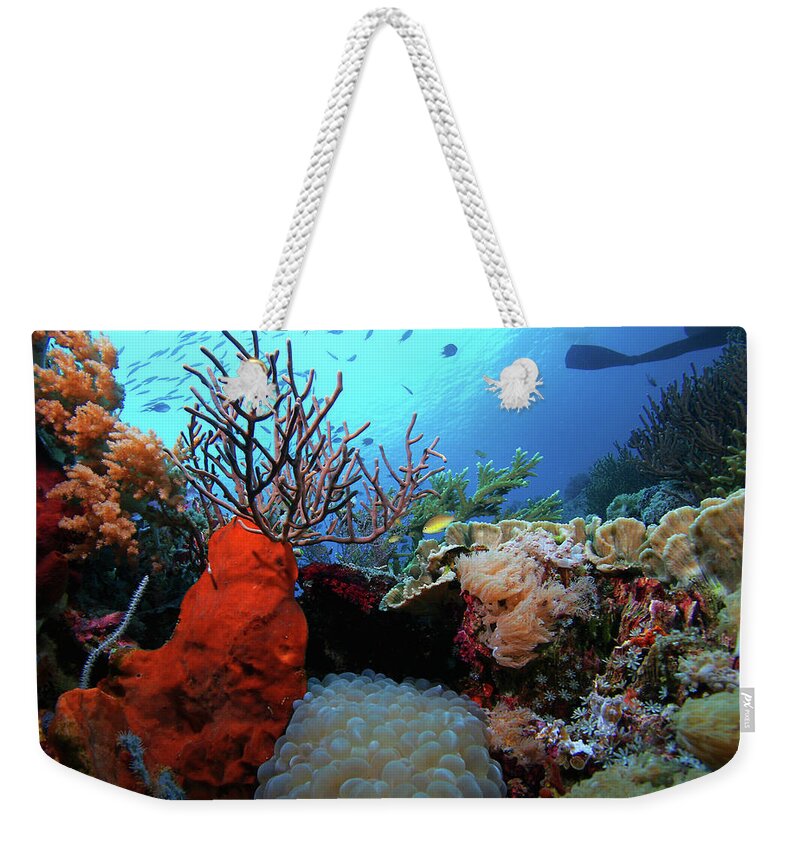 Underwater Weekender Tote Bag featuring the photograph Underwater Reef With Coral And Fish by Cdascher