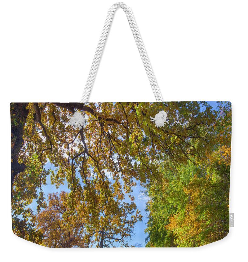 00544890 Weekender Tote Bag featuring the photograph Autumn Lake and Trees by Tim Fitzharris