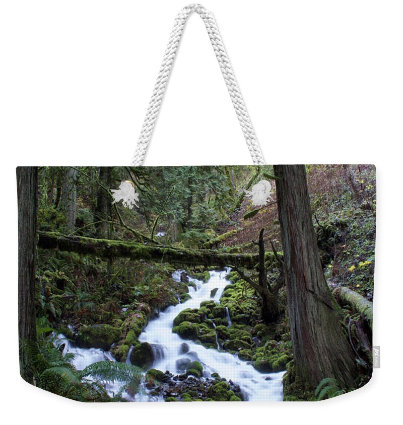 Dylan Punke Weekender Tote Bag featuring the photograph Upper Wahkeena by Dylan Punke