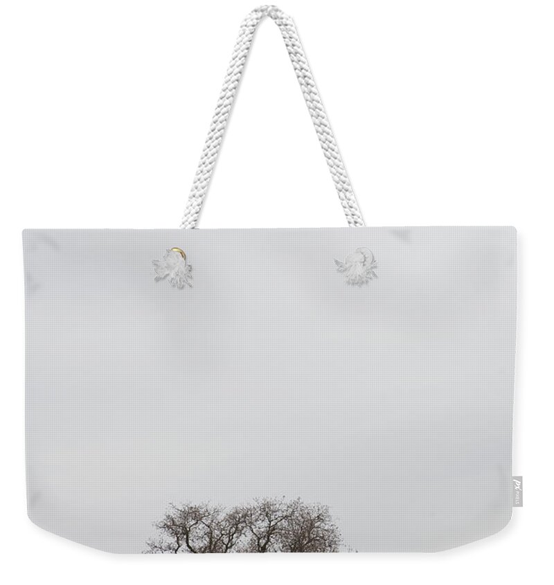 Scenics Weekender Tote Bag featuring the photograph Usa, California, Yosemite, Tree In Field by Rod Morata