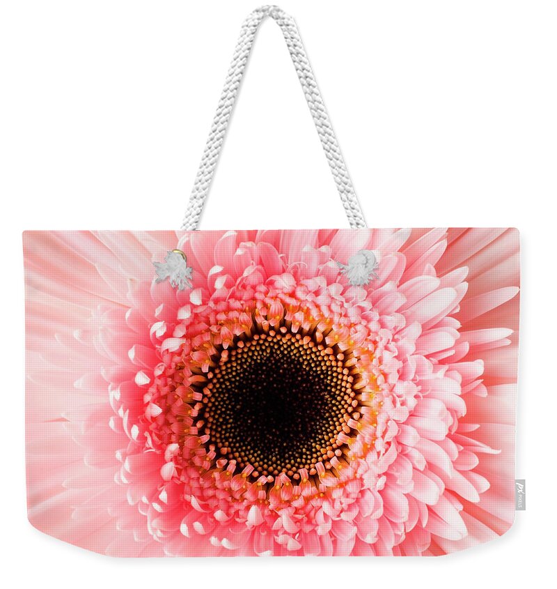 Petal Weekender Tote Bag featuring the photograph Usa, Utah, Lehi, Close-up Of Pink Daisy by Mike Kemp