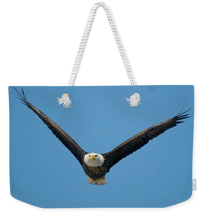 Eagle Weekender Tote Bag featuring the photograph V by Steve Stuller
