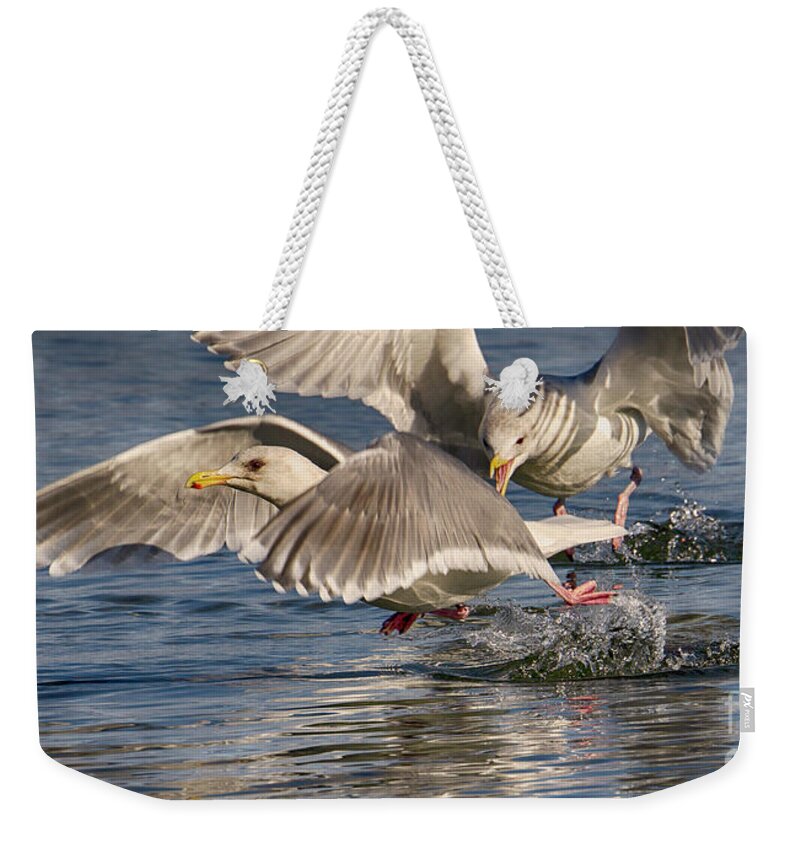 Survival Weekender Tote Bag featuring the photograph Vamoose by Bob Christopher