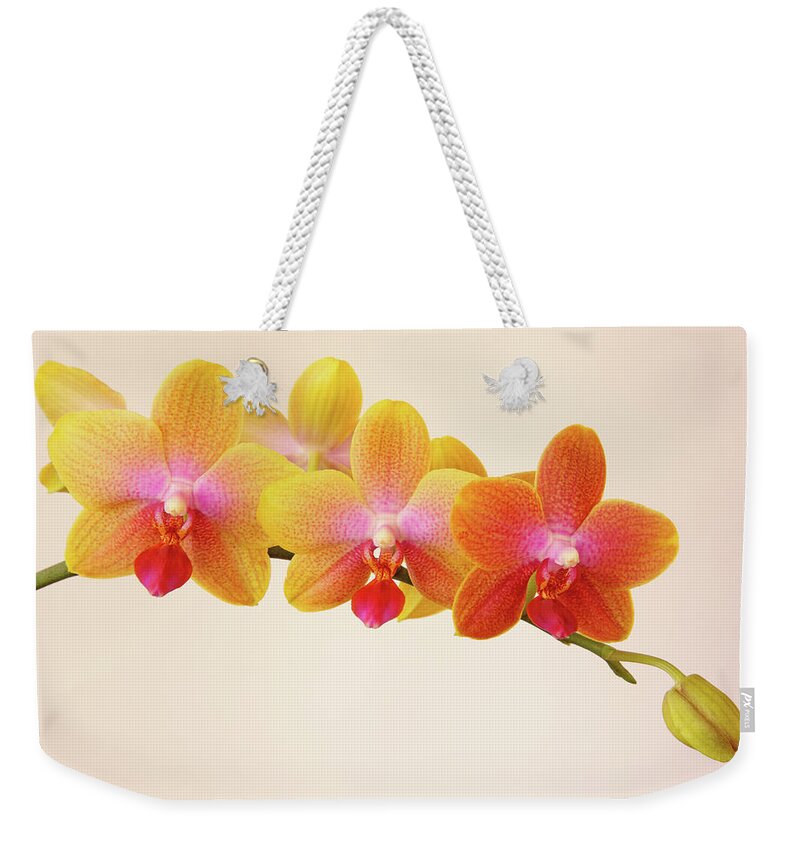 Bud Weekender Tote Bag featuring the photograph Variegated Phalaenopsis Orchid Flowers by Rosemary Calvert
