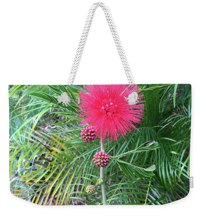 Powderpuff Weekender Tote Bag featuring the photograph Vertical Powderpuff by Aimee L Maher ALM GALLERY