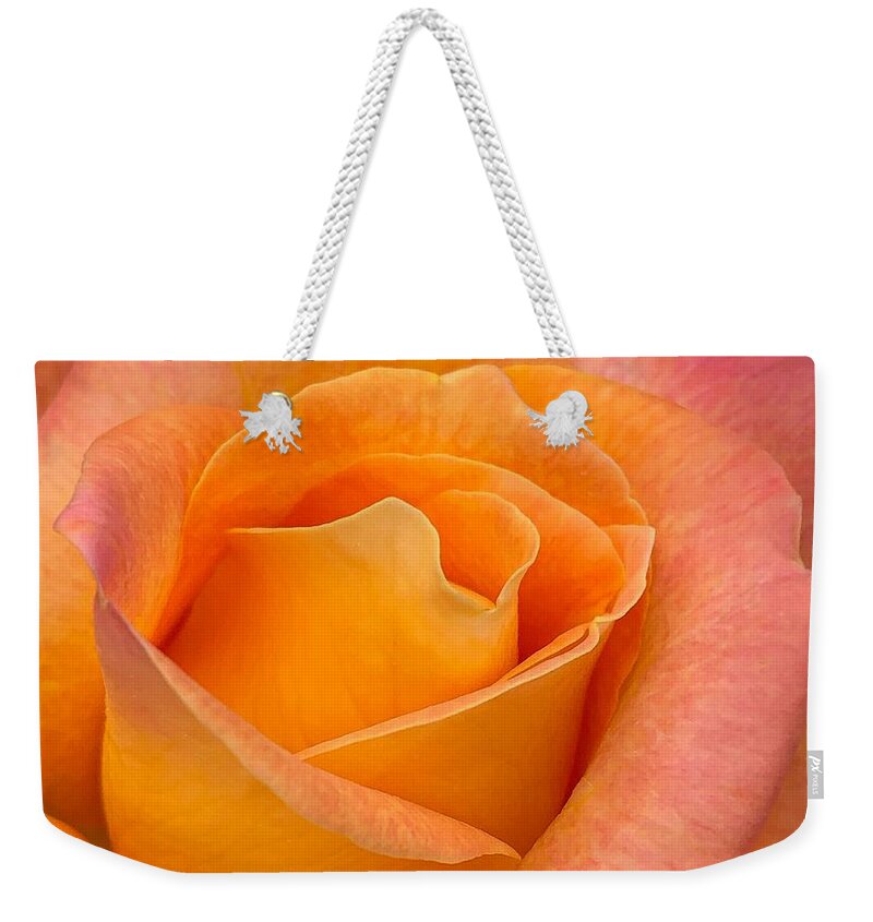 Rose Weekender Tote Bag featuring the photograph Vertical Rose by Anamar Pictures