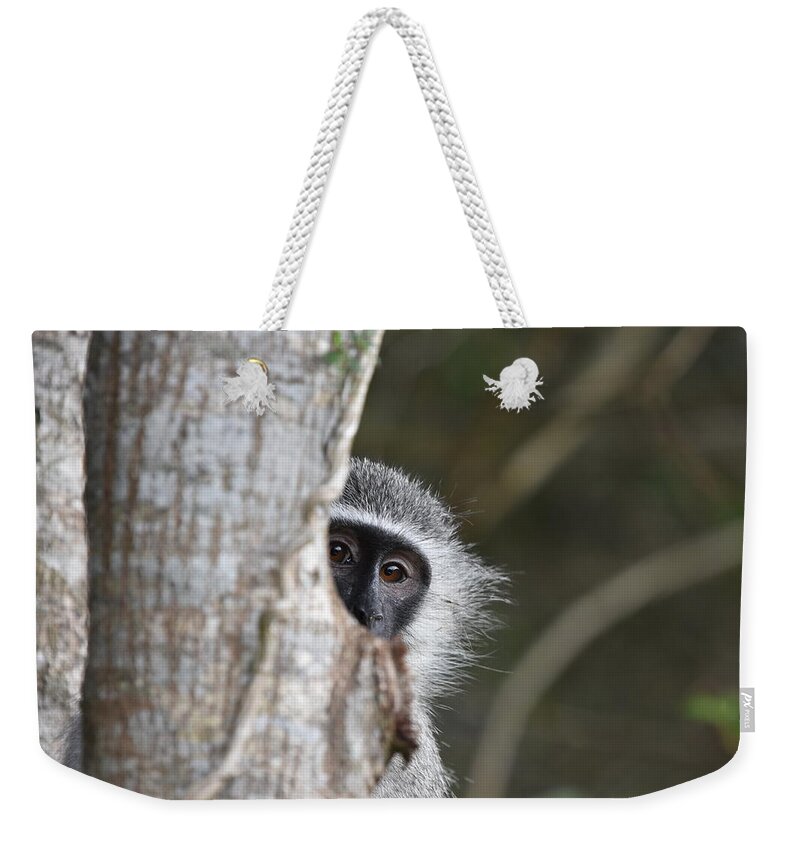 Vervet Weekender Tote Bag featuring the photograph Vervet Monkey, South Africa by Ben Foster