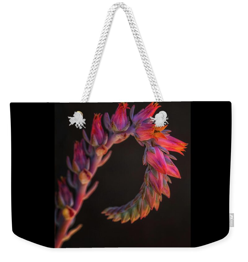 California Weekender Tote Bag featuring the photograph Vibrant Arc by Laura Roberts