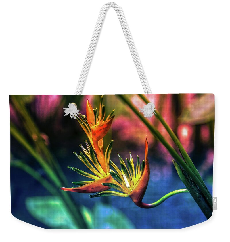 Bird Of Paradise Weekender Tote Bag featuring the digital art Vibrant Jungle Bird by Pheasant Run Gallery