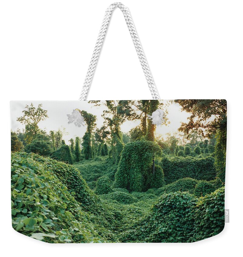 Scenics Weekender Tote Bag featuring the photograph Vine Covered Landscape by Silvia Otte