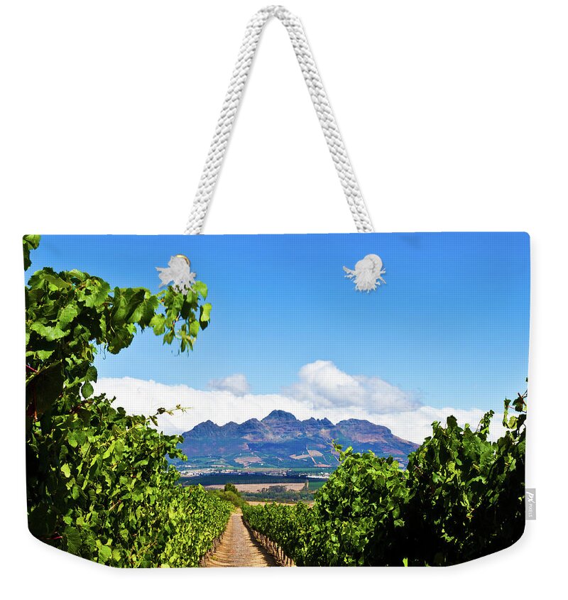 Stellenbosch Weekender Tote Bag featuring the photograph Vineyards In Stallenbosch by Izusek