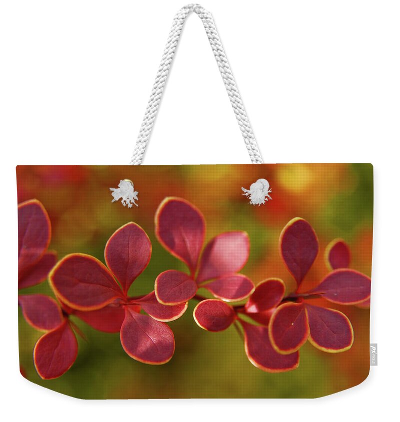 Orange Color Weekender Tote Bag featuring the photograph Vivid Colours Of Autumn by Abbesses