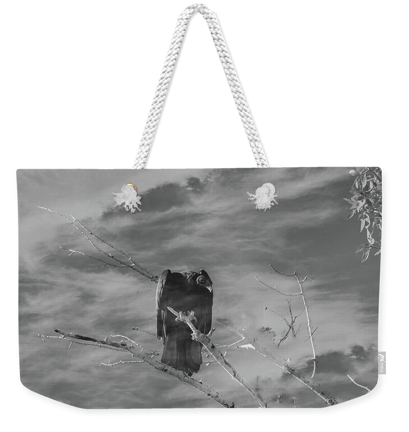 Black And White Weekender Tote Bag featuring the photograph Vulture in Clouds by Sandra Dalton