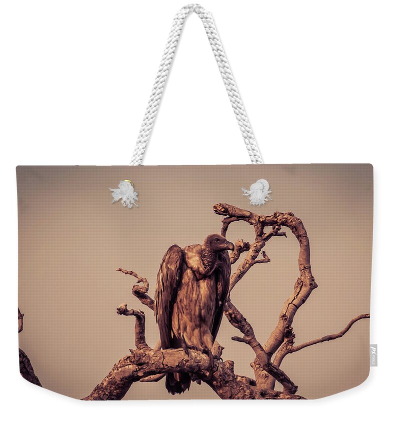 Botswana Weekender Tote Bag featuring the photograph Vulture On The Watch by Rod Gotfried Photography