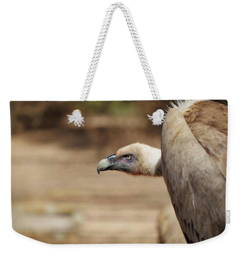 Alertness Weekender Tote Bag featuring the photograph Vulture by Reynold Mainse / Design Pics