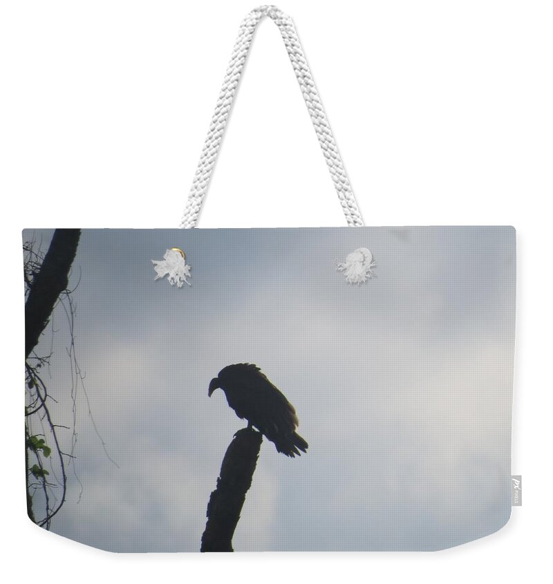 Bird Weekender Tote Bag featuring the photograph Waiting For Prey by Aaron Martens