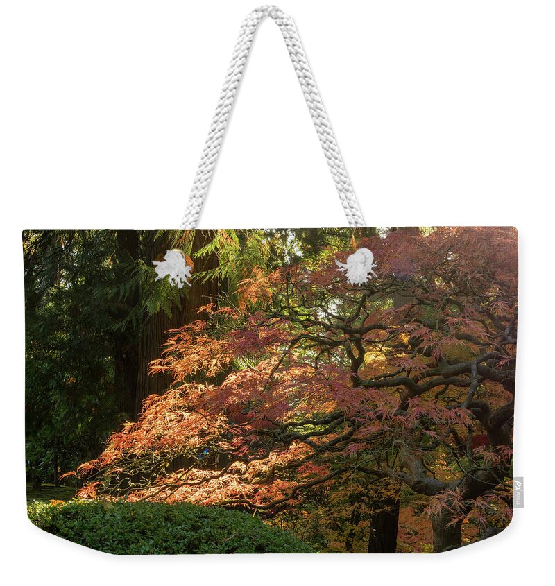 Garden Weekender Tote Bag featuring the photograph Wake up Time by Jean Noren