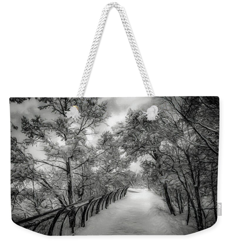 Arizona Weekender Tote Bag featuring the photograph Walk this Way by Will Wagner