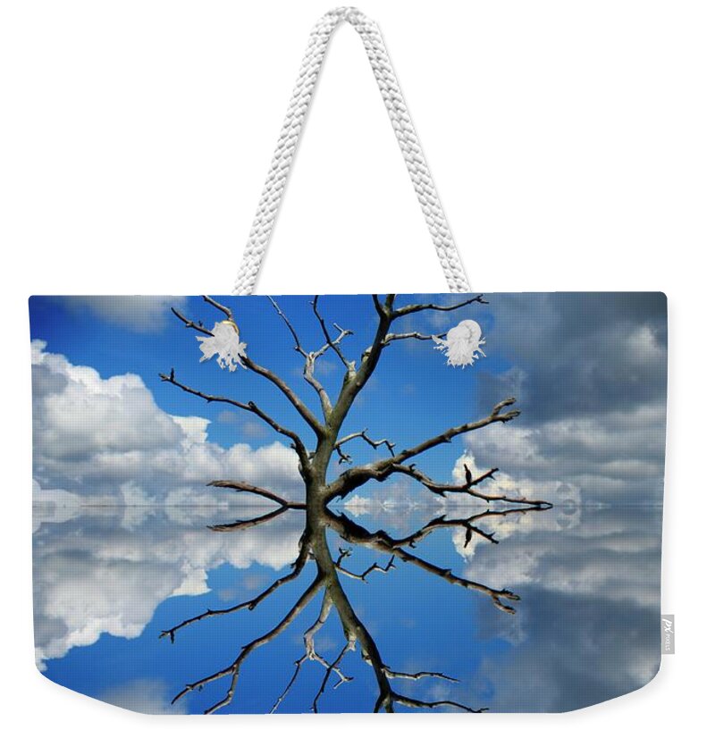 Tree Weekender Tote Bag featuring the photograph Wall Springs Tree by Stoney Lawrentz