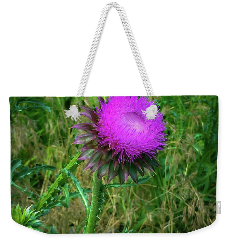 Thistle Weekender Tote Bag featuring the photograph Wanna Be in Scotland by Lora J Wilson