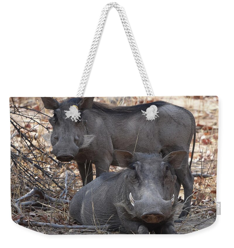 Warthog Weekender Tote Bag featuring the photograph Wart Hog Pair by Ben Foster