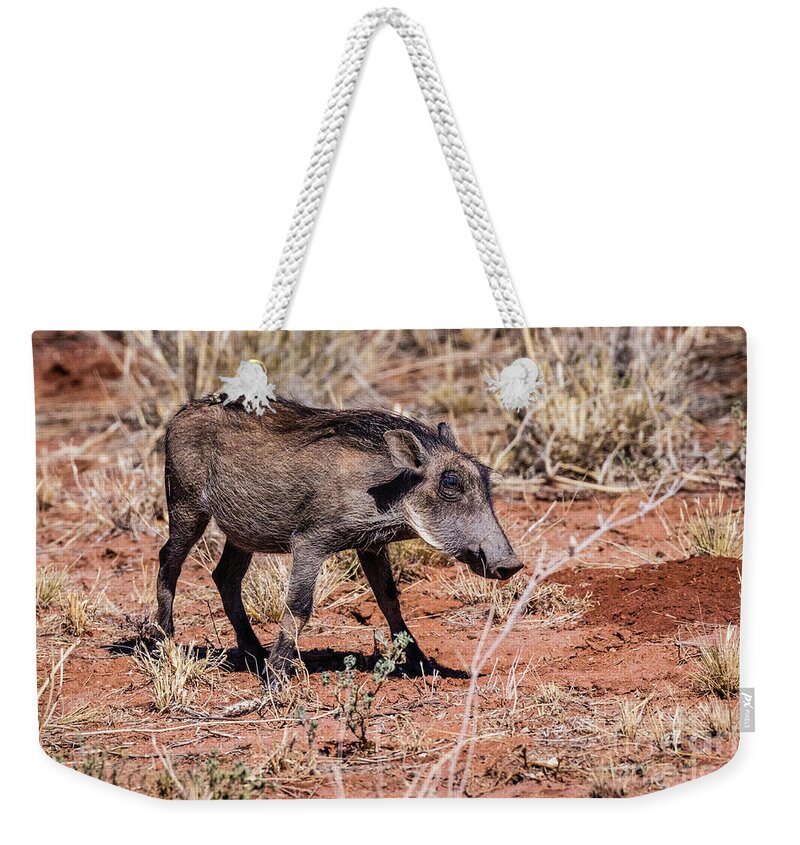Warthog Weekender Tote Bag featuring the photograph Warthog, Namibia by Lyl Dil Creations