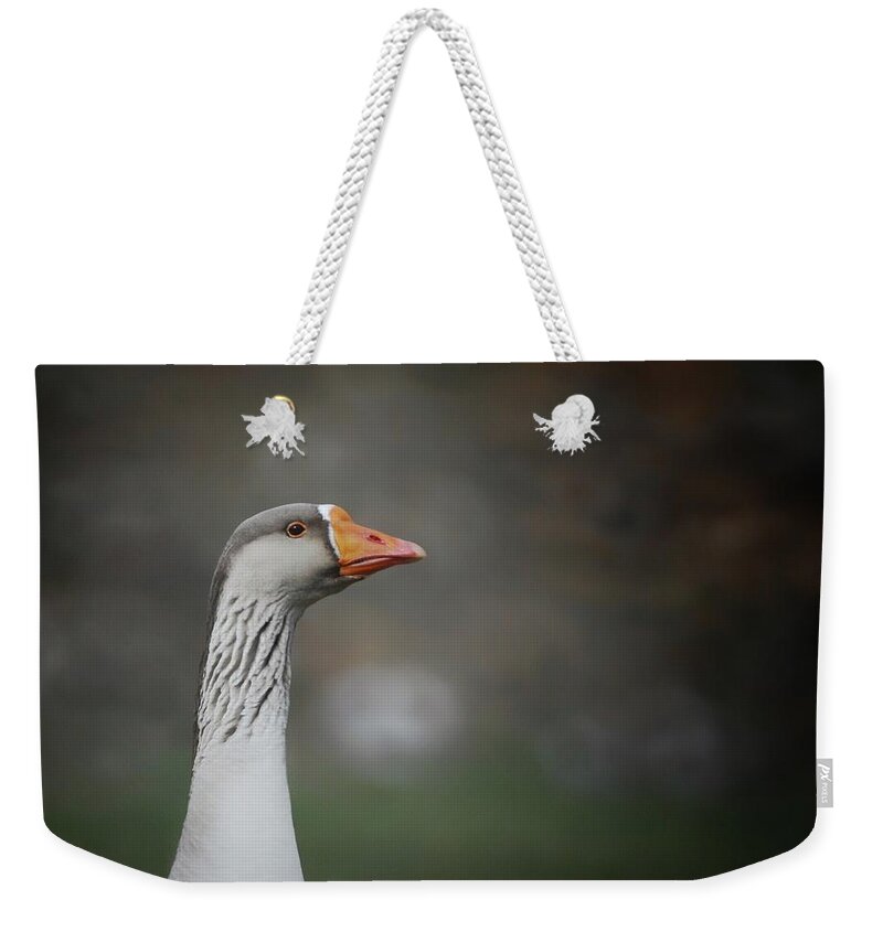  Weekender Tote Bag featuring the photograph Watching by DArcy Evans